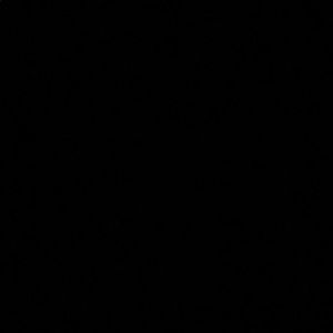 Meet your Posher, Cory